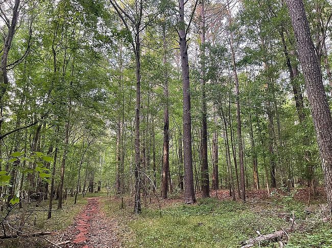Photo of 1109 Cannon Dr, Social Circle, GA