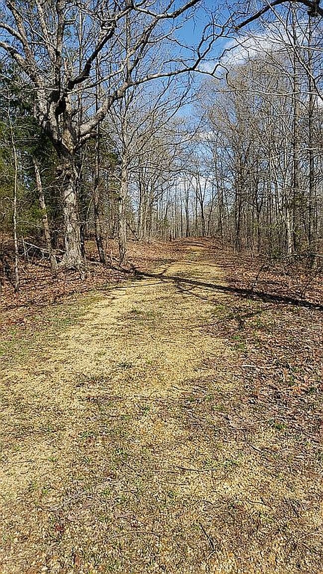 Image of Workman Cemetery Rd