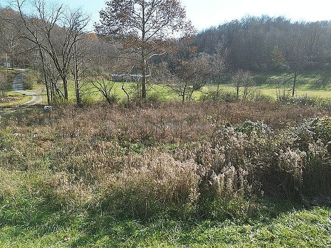Image of 1239 Bloody Run Rd