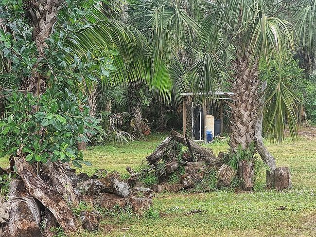 Photo of 1420 16th Ave Ne, Naples, FL