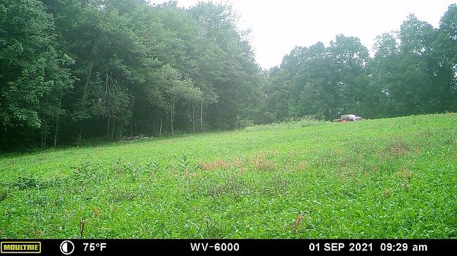 Photo of 109 Dana Rd, Oxford, MA