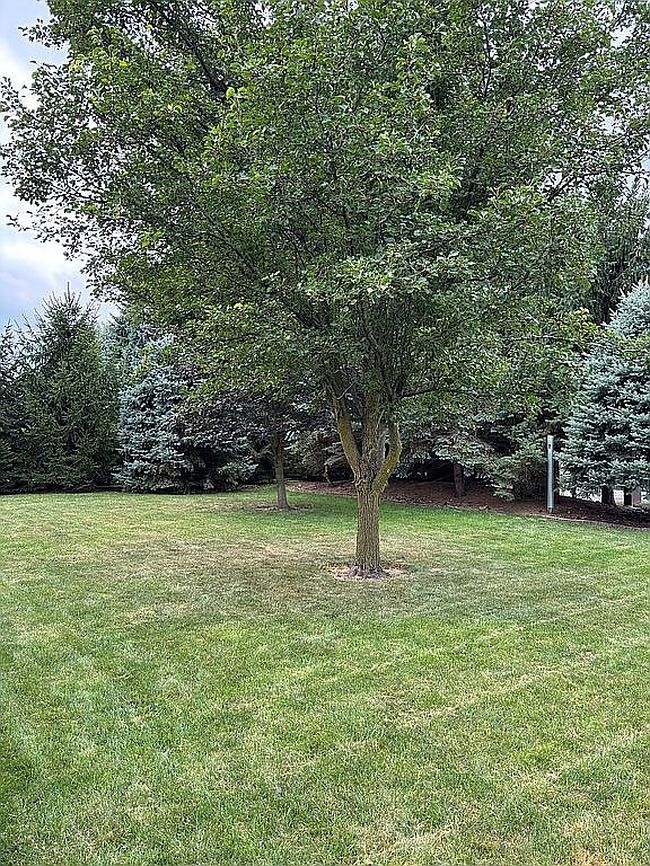 Photo of 1491 Carolyn Dr, Delphos, OH