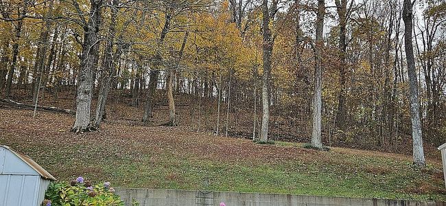Image of 3948 S Highway 333