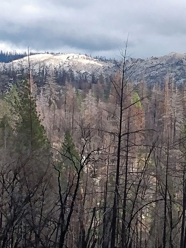 Photo of 46 Ernie Ln, Berry Creek, CA