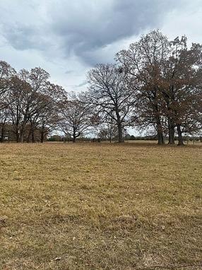 Preview of property located at 0 Euclatubba Rd Lot 5