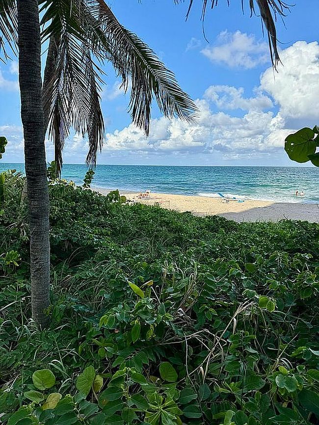 Image of 4250 Galt Ocean Dr Apt 9G
