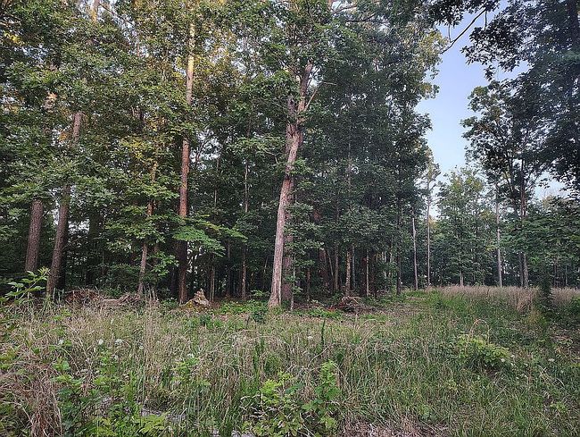 Photo of 7 Peaceful Ln, Yellville, AR
