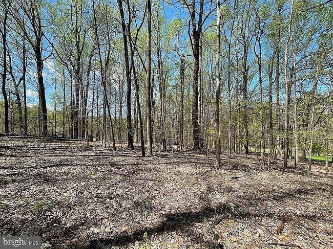 Image of 8305 Trumps Hill Rd