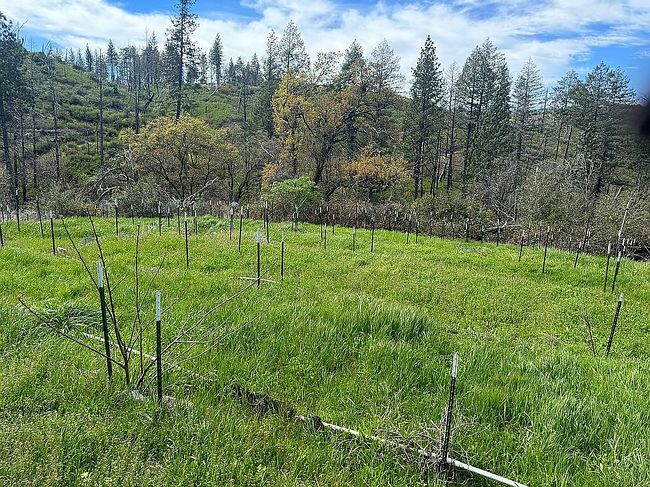 Image of 3738 Pinkston Canyon Rd