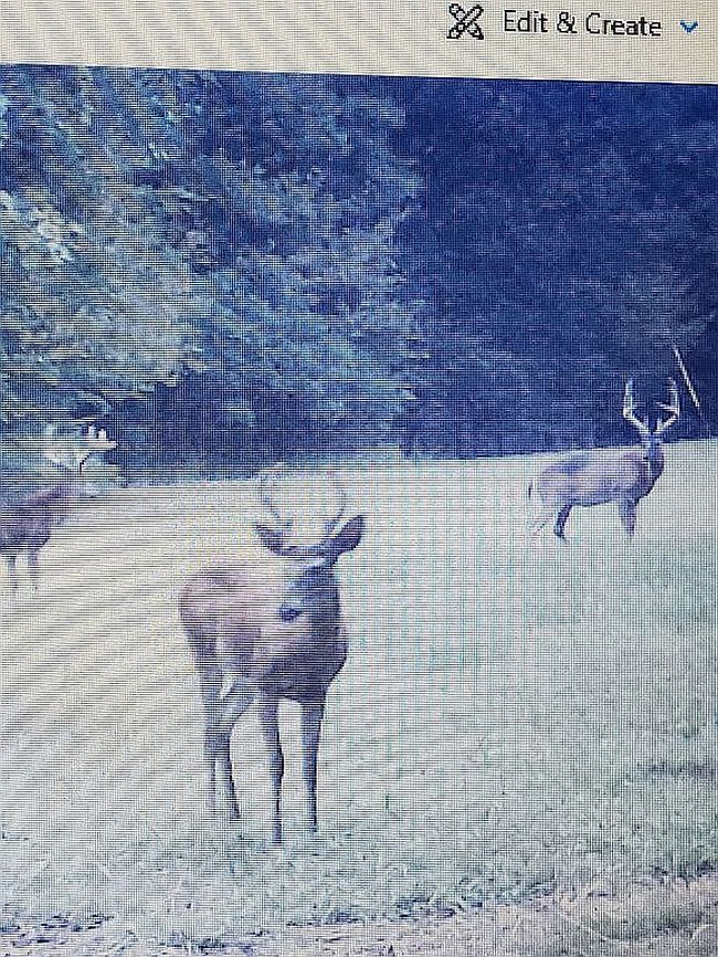 Photo of 476 County Road 303, Cherry Valley, AR