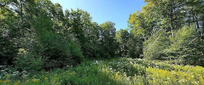 Photo of Smokey Lake Rd Lot 16, Iron River, MI
