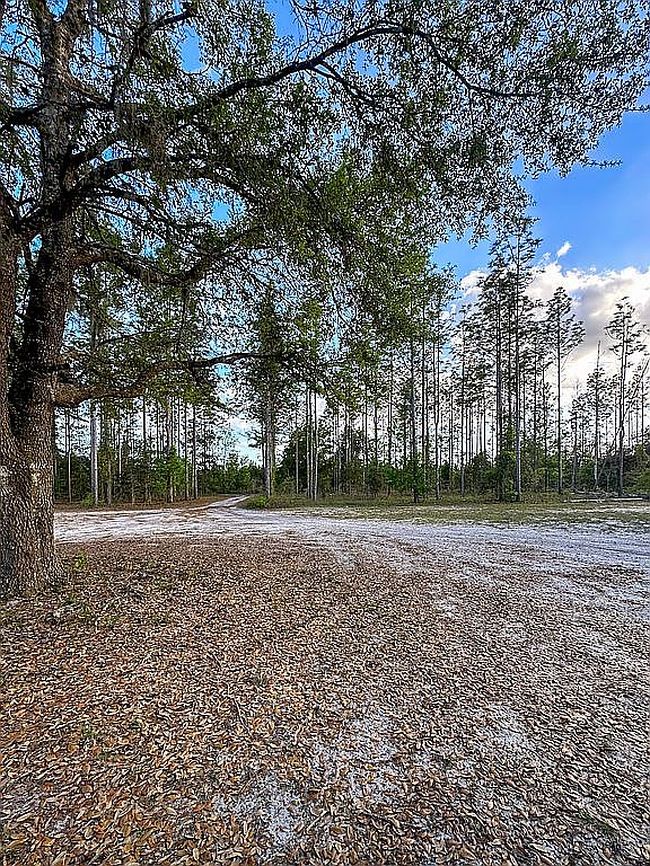 Image of 104 Chancey Ln
