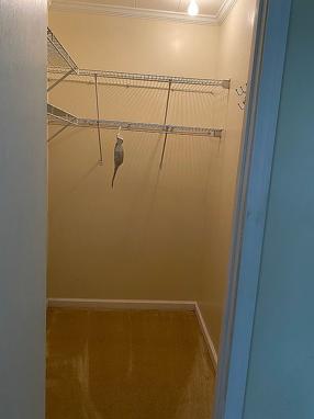 Image of 4627 Spring St