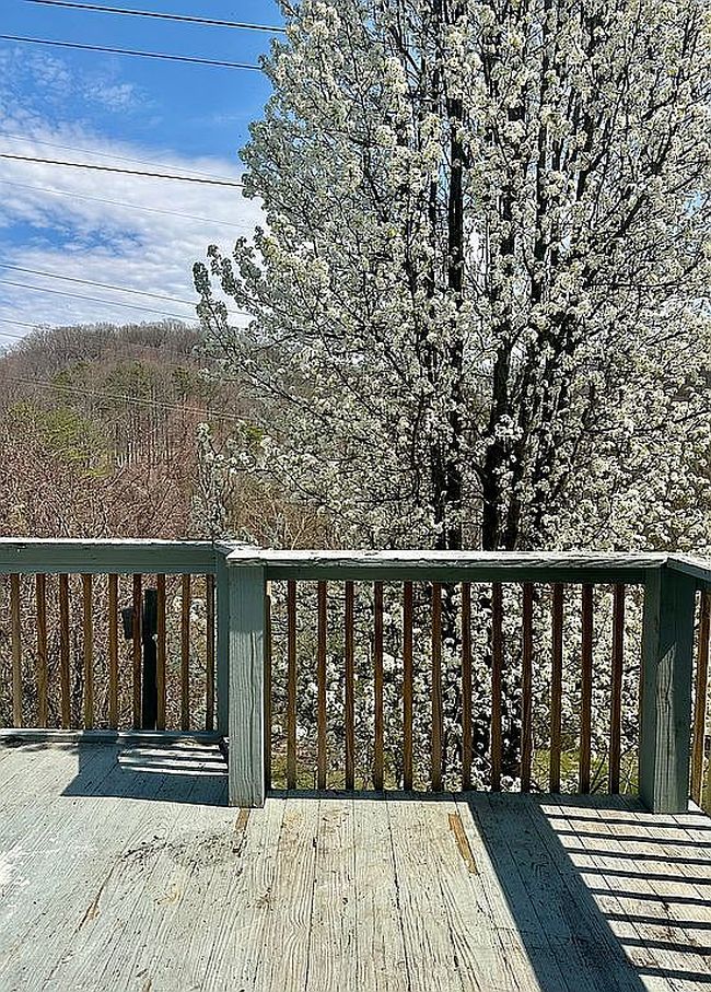 Image of 219 Jamestown Rd