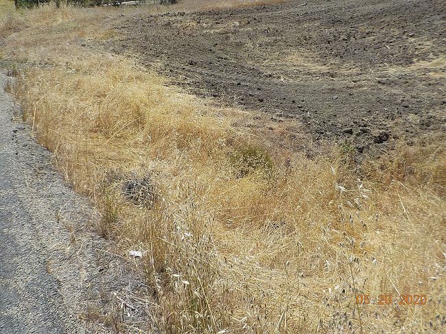 Photo of 388 Hampshire Dr, Quail Valley, CA