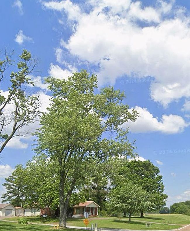 Photo of 1407 Sharon Rd, Sharon, TN