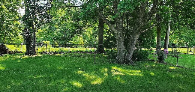 Photo of 616 Carolyn Dr, Poplar Bluff, MO