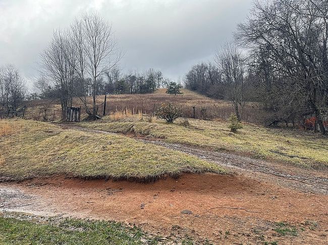 Image of 13489 Brinkley Rd