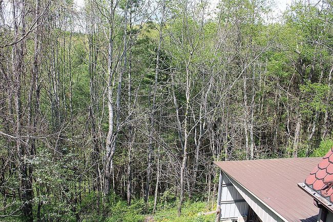 Image of 346 Clear View Ridge Rd