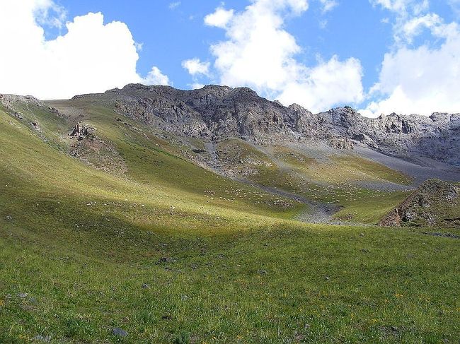 Image of Senator Hanna Gold Property #480047709
