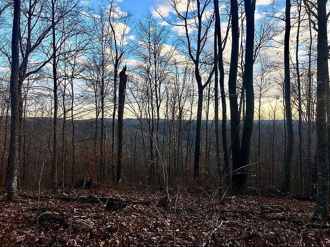 Image of 5435 Rockwell Hollow Rd