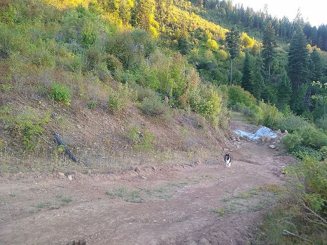 Additional photo 3 of property located at 161 W Lightning Loop Rd