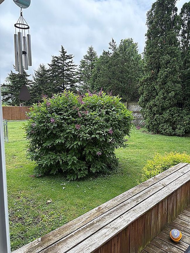 Photo of 508 Ann Dr, Westville, IL