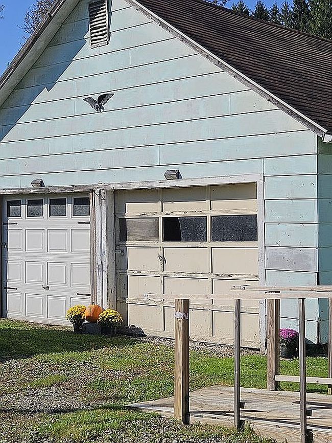 Image of 4341 Meads Creek Rd