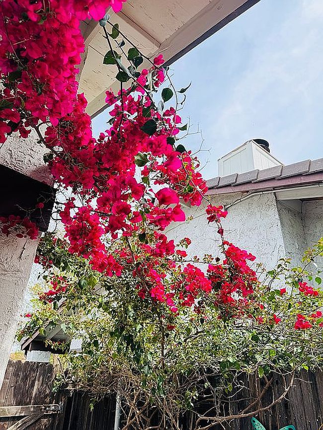Photo of 2436 Rashawn Dr, Rancho Cordova, CA