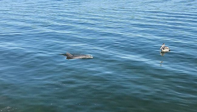 Preview of property located at 1955 Kansas Ave Ne