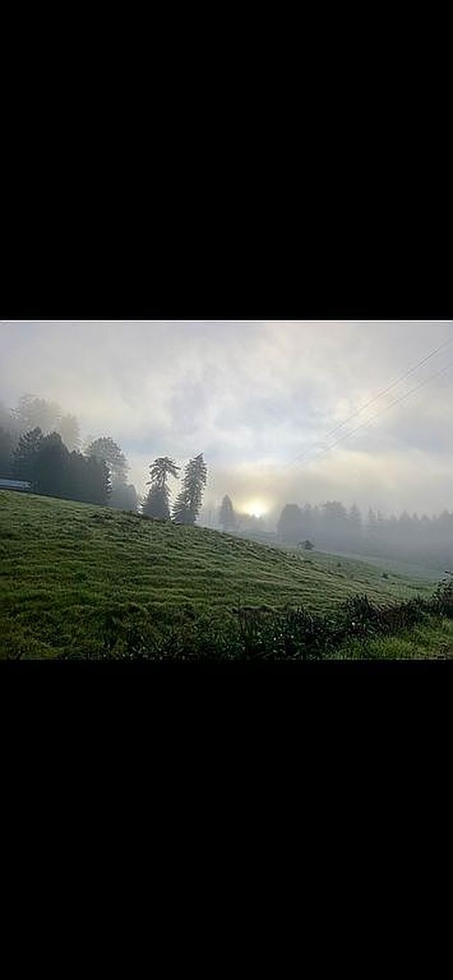Image of 8475 Flynn Creek Rd