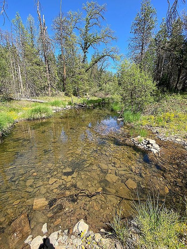 Image of 11178 Big Creek Rd