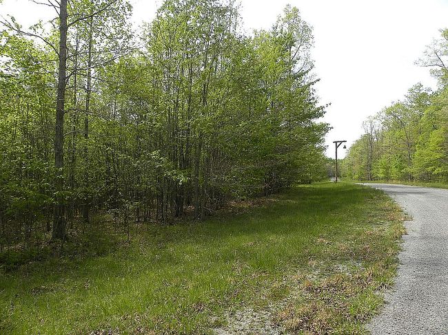Image of 0 Holly Ln