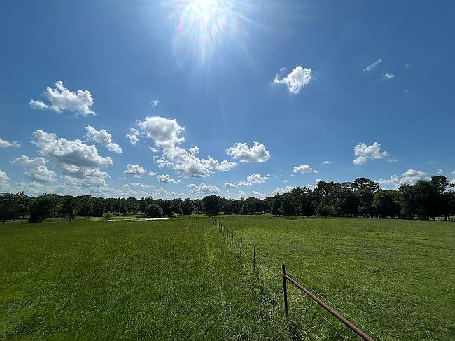 Photo of 5901 Fm 1701, Avery, TX