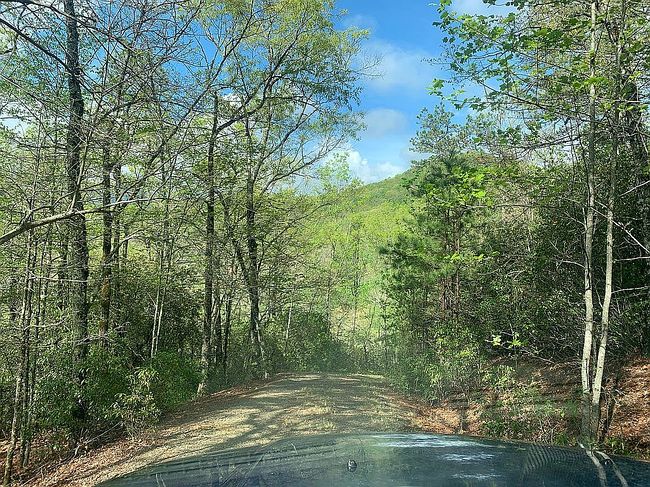 Image of 1788 Younce Creek Rd