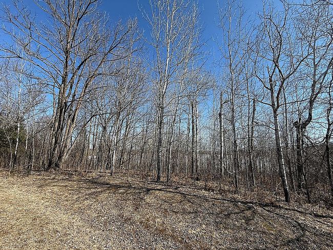 Image of 12865 Sumac Trl