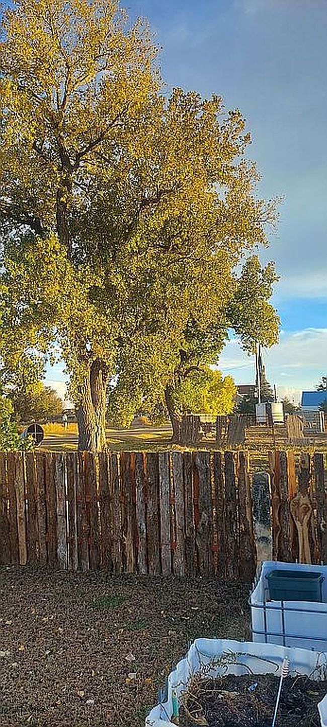 Photo of 1717 Sarratov St, Pfeifer, KS