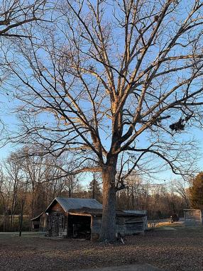 Photo of 9188 State Highway 8, Lexington, NC