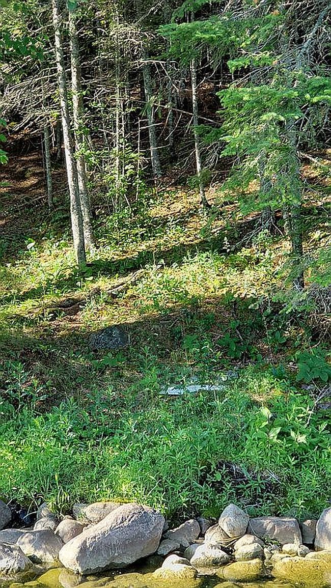 Image of 31285 County Highway 35