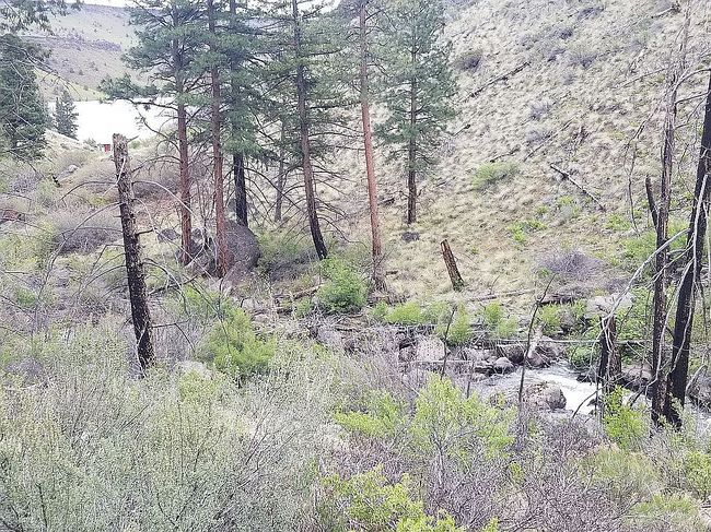 Photo of Lot 7 Sw Inlet Rd, Culver, OR