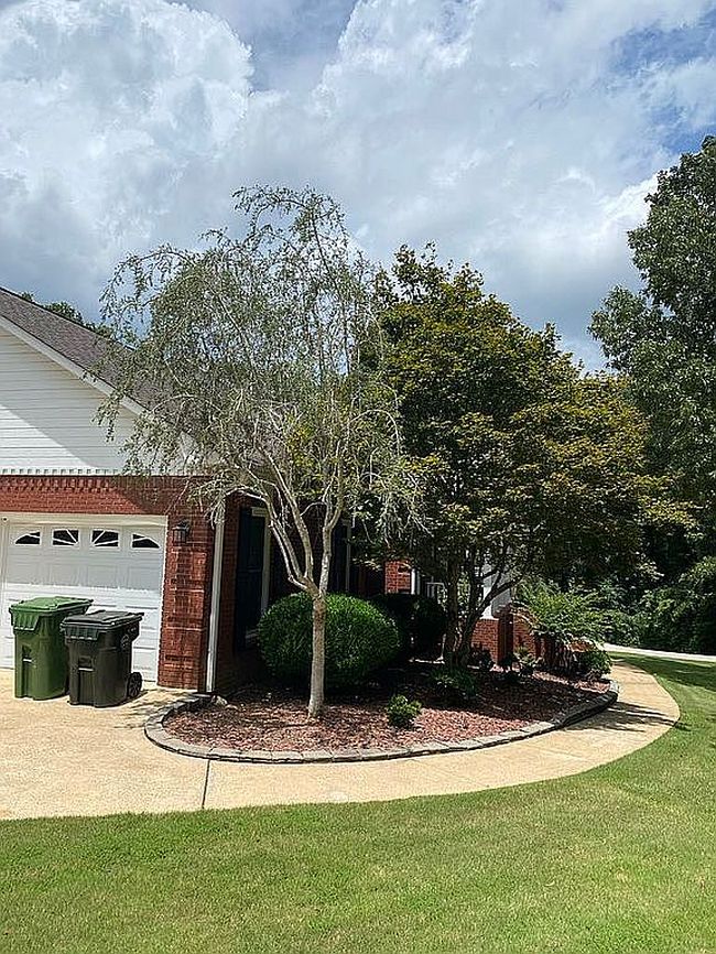 Image of 2000 Lenwood Dr