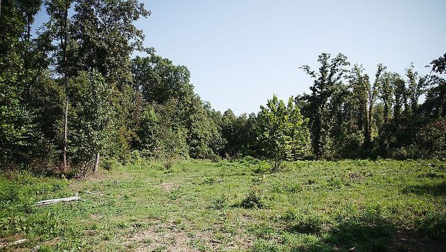 Image of 477 Telegraph Rd