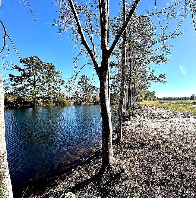 Image of 272272 Conner Nelson Rd