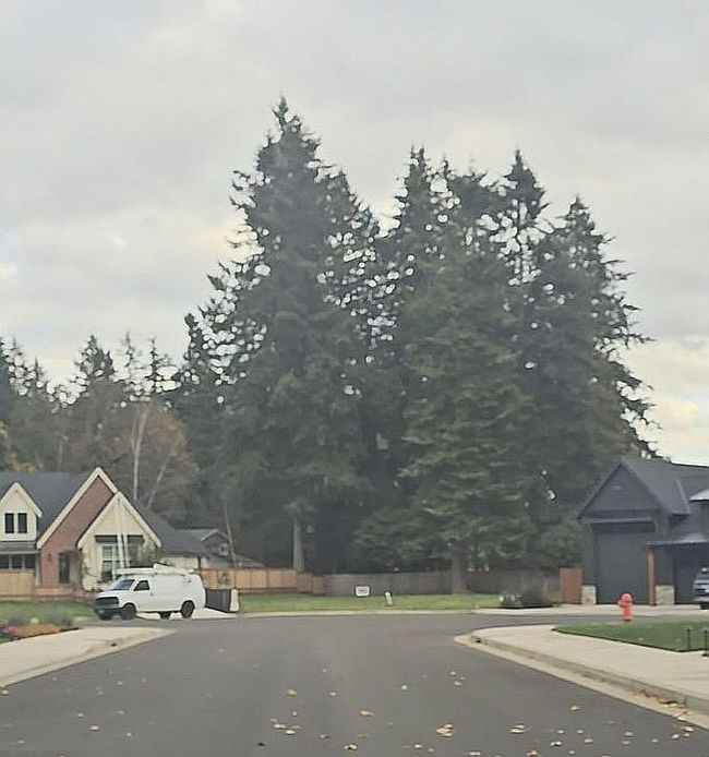 Photo of 3514 N Maple Dr, Canby, OR