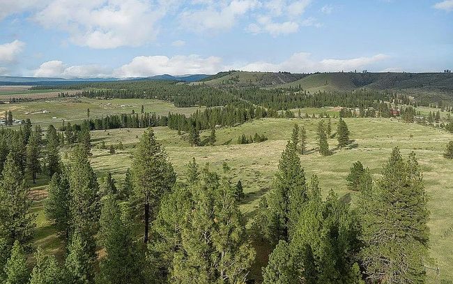 Photo of 0 Fisher Rd E Lot 2, Reardan, WA