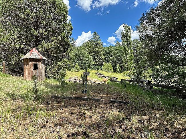 Photo of 41 Lakeview Ct, Stoneman Lake, AZ