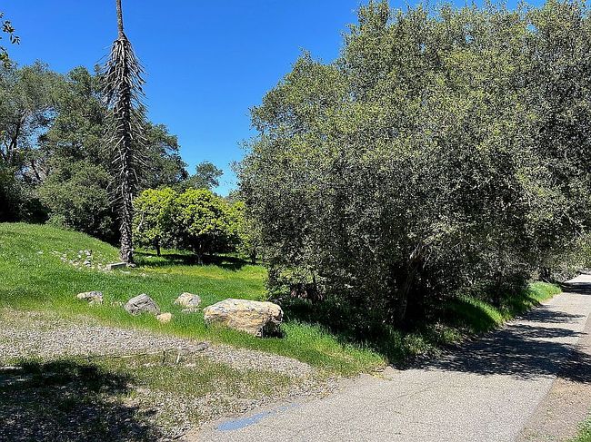 Image of 26055 Avenida Del Oro