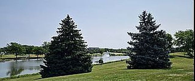 Photo of 11 Cedar Ct Apt 11, Vernon Hills, IL