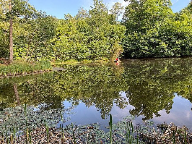 Image of 4981 County Road 137