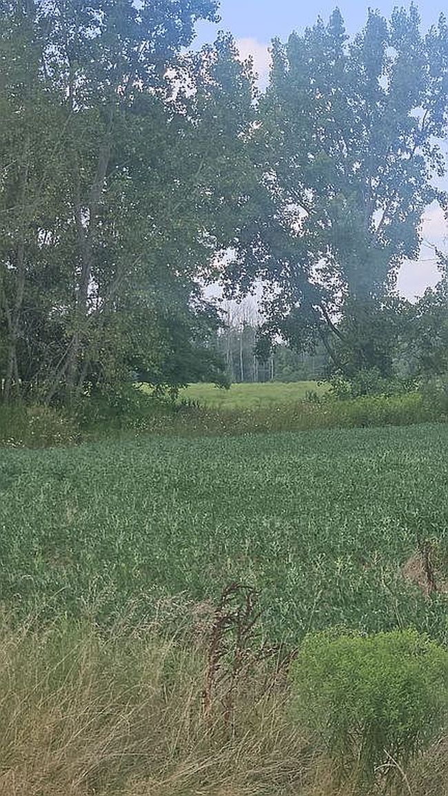 Photo of 0 Pike Rd, Batavia, NY